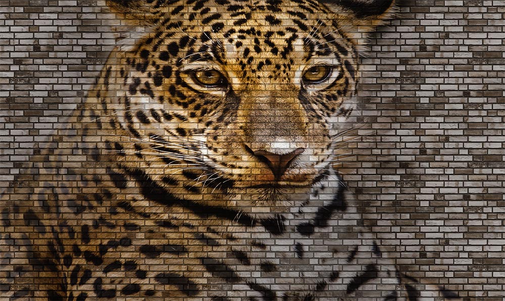 3 Boyutlu Leopar Duvar Kağıdı