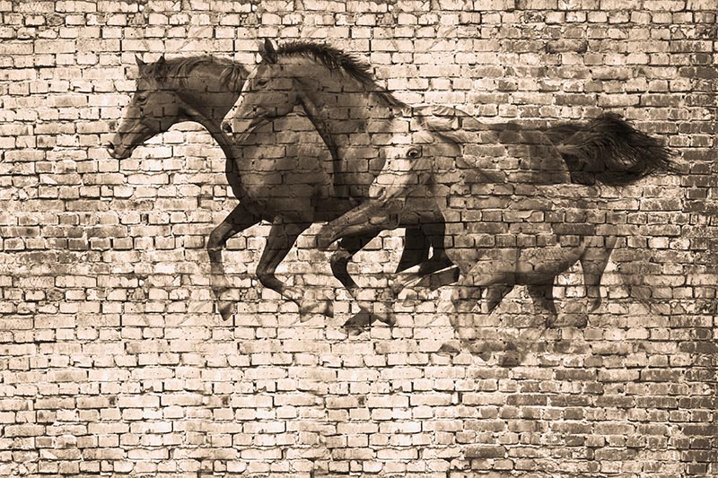 3d Stone Pattern Kosan Horses Wallpaper