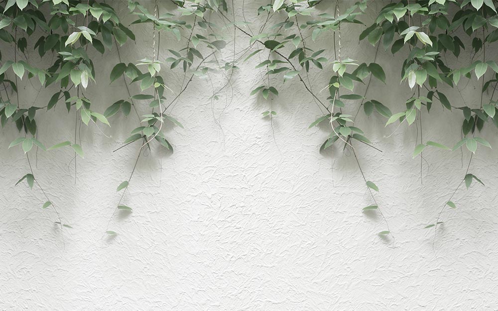 Concrete Wall On Sarmasik Leaves 3d Wallpaper