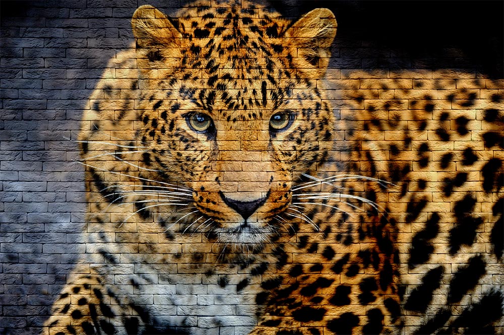 Stone Pattern Background On Leopar Wallpaper