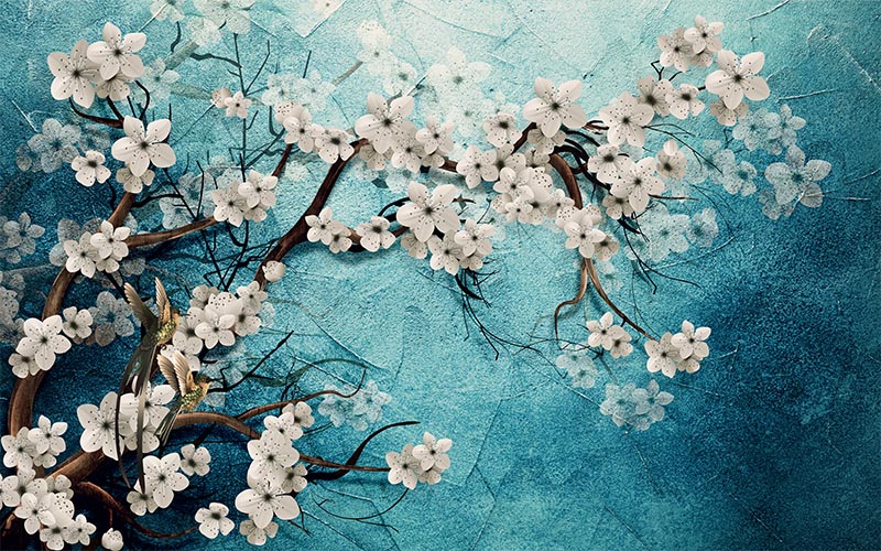 Turquoise Background On Tree Dallari And White Flowers